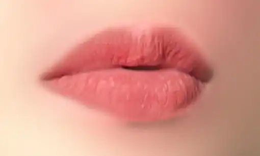 올데이 웨어 립코트 [샤이러버]