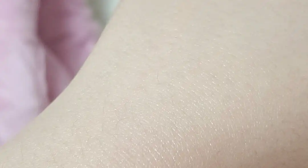 디 오리지널 텐션 팩트 내추럴 커버 [21호]