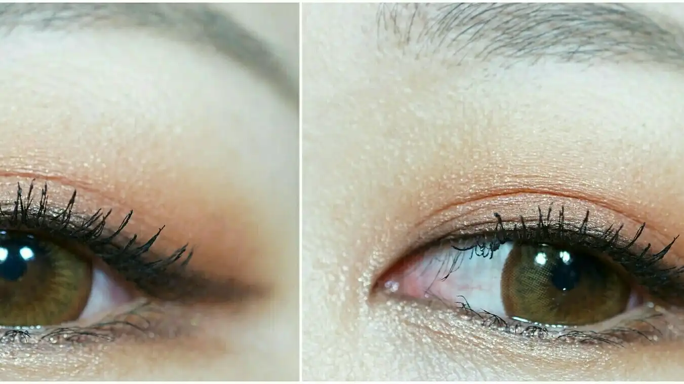 위드썸 [브라운]