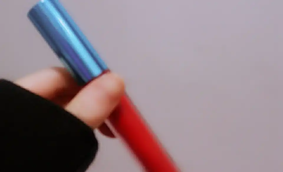 라스트 벨벳 립 틴트 [02생기갑]