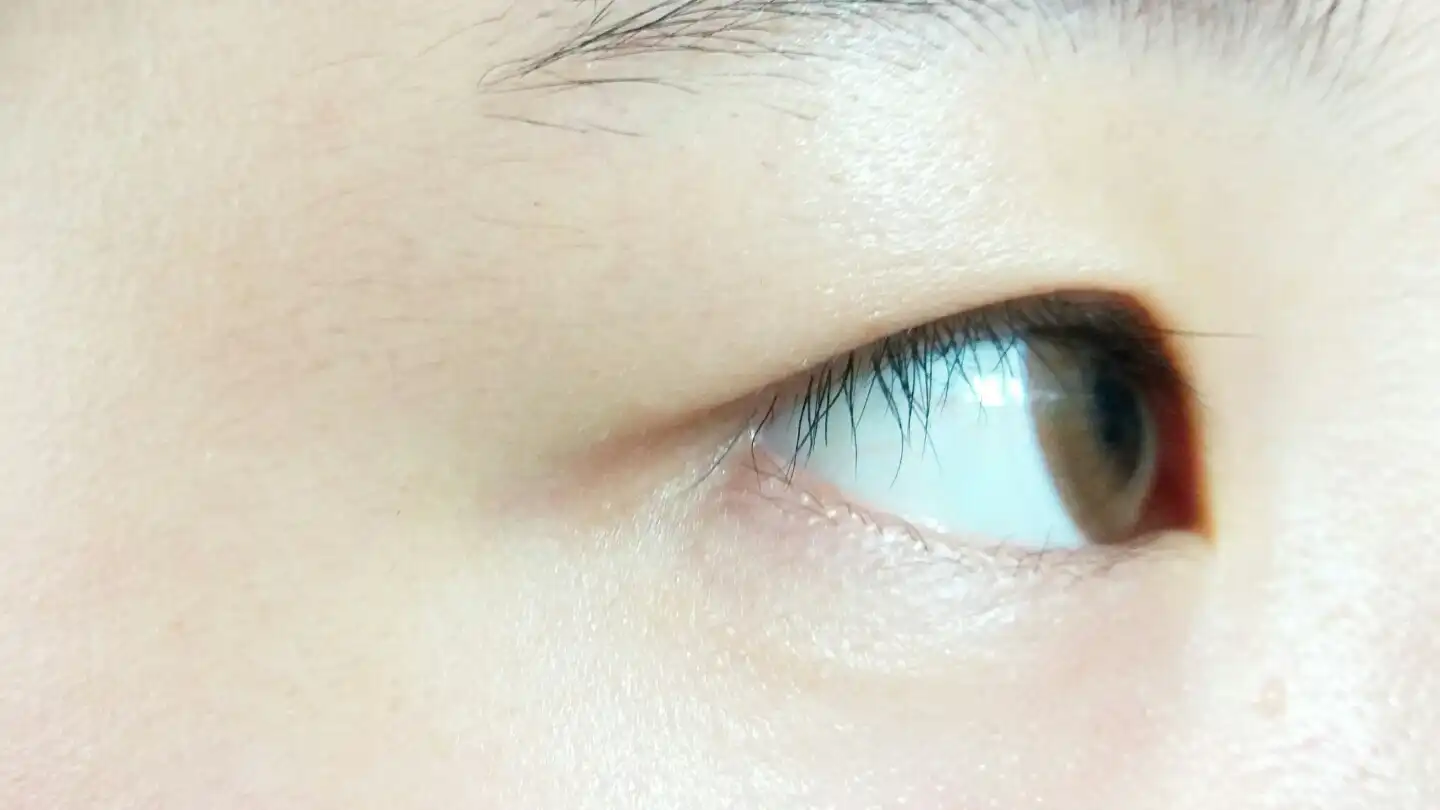 언니의파우치 리뷰 이미지 5 - [데일리 뷰티툴즈 아이래쉬 뷰러]