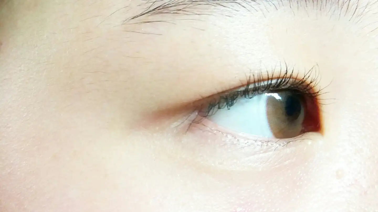 언니의파우치 리뷰 이미지 6 - [데일리 뷰티툴즈 아이래쉬 뷰러]