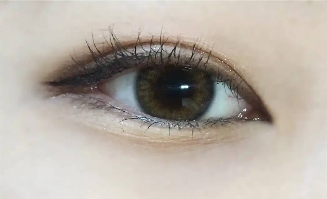 스페니쉬 [리얼브라운]