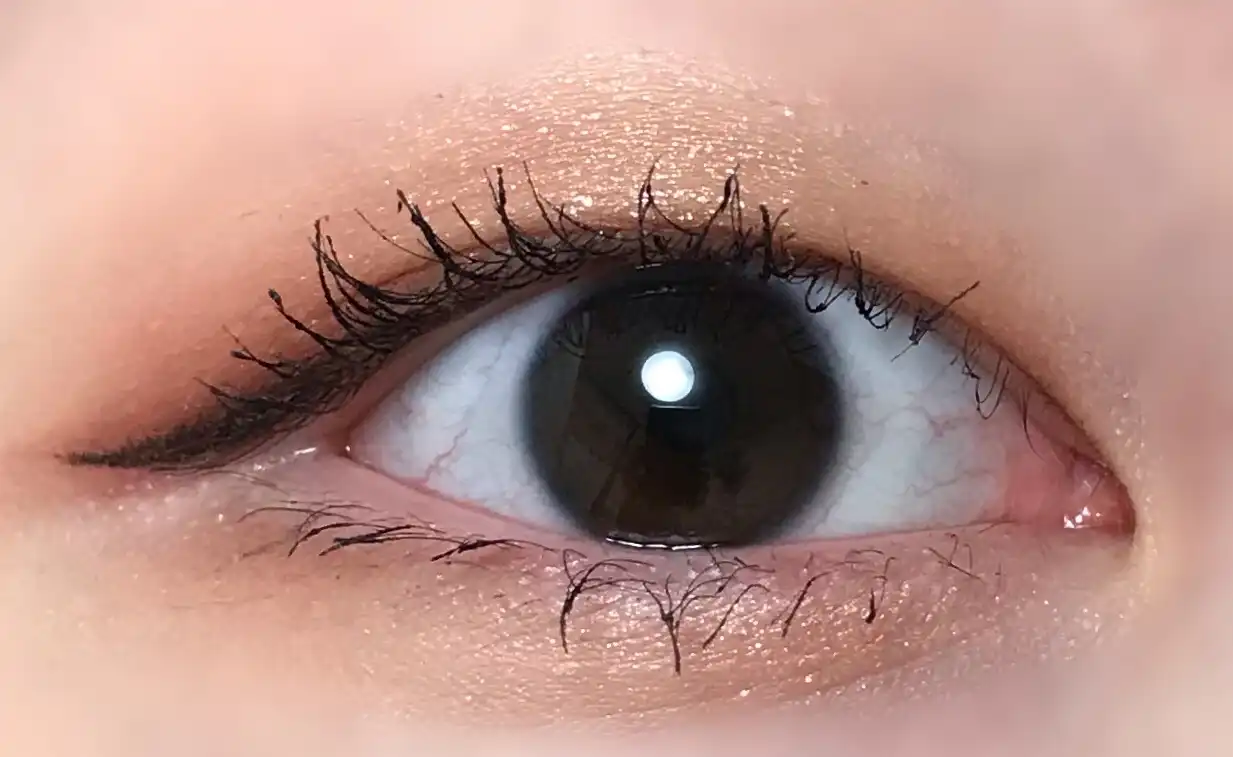 프로 아이 팔레트 [003 코랄토크]