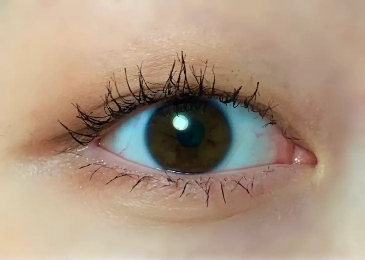 언니의파우치 리뷰 이미지 5 - [울트라 파워프루프 씬 마스카라 [컬 업 롱래쉬]]