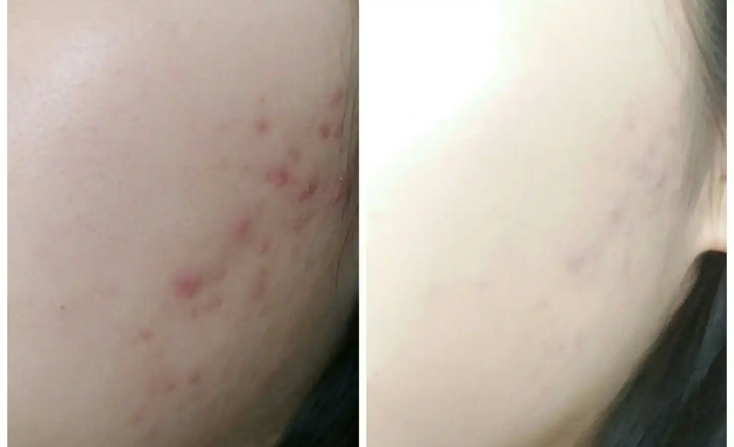 애니 쿠션 크림 필터 [바닐라]