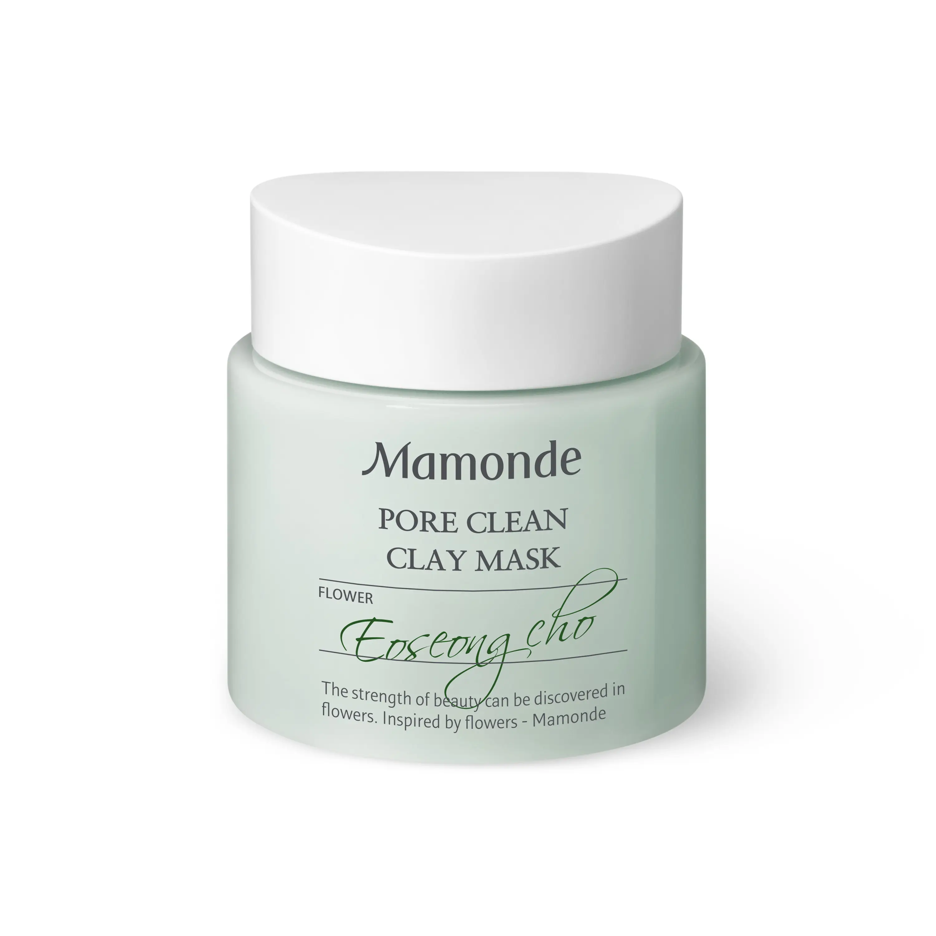 포어 클린 클레이 마스크