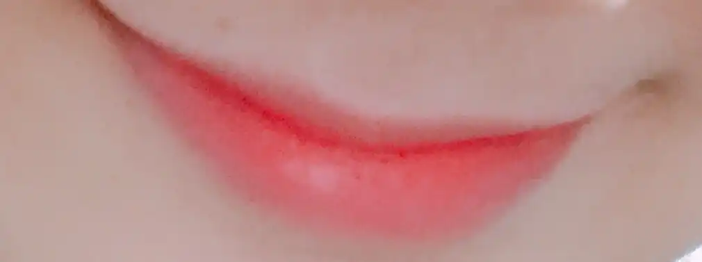 언니의파우치 리뷰 이미지 5 - [루쥬 뷔르 꾸뛰르(1)]