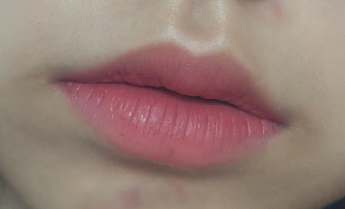 더 매트 크리미 립 펜슬 [드라이로즈]