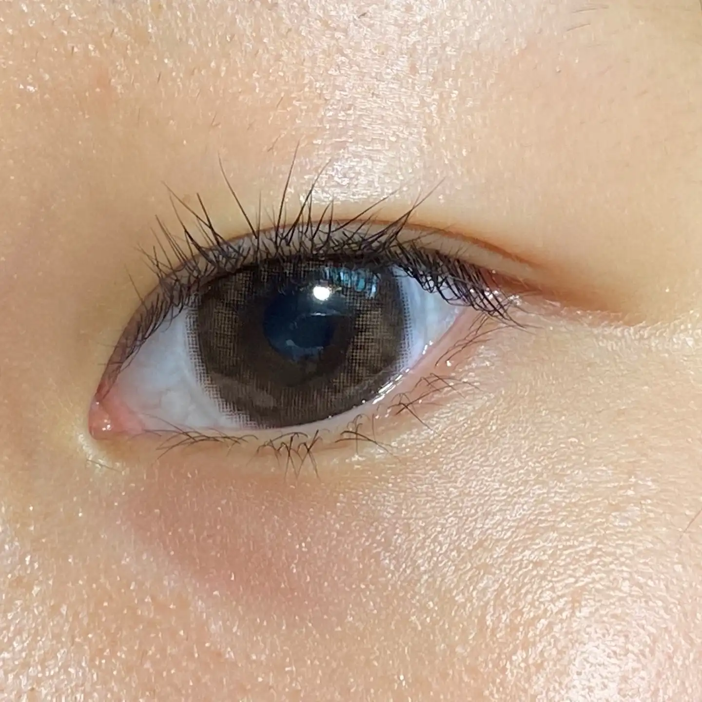 시크릿 옴므 [초코]