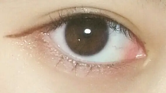 선택된 언니의파우치 리뷰 이미지 - [잉크그라피 브러쉬펜 라이너 [02브라운]]