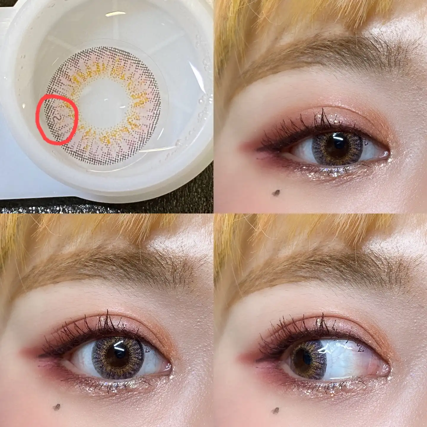 키스앤킬25 [브라운]