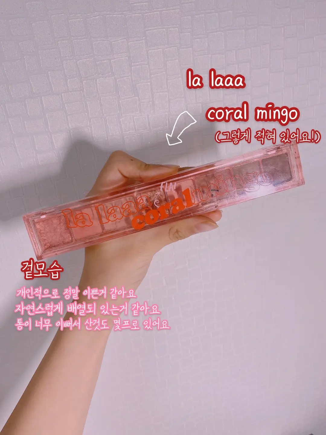 선택된 언니의파우치 리뷰 이미지 - [올 테이크 무드 팔레트 [02 코랄학계의 핑크정설]]