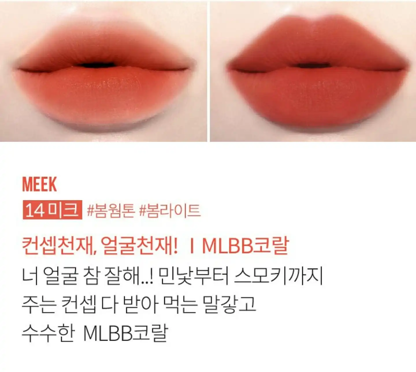 타투 끌레르 벨벳 틴트 [14 미크]