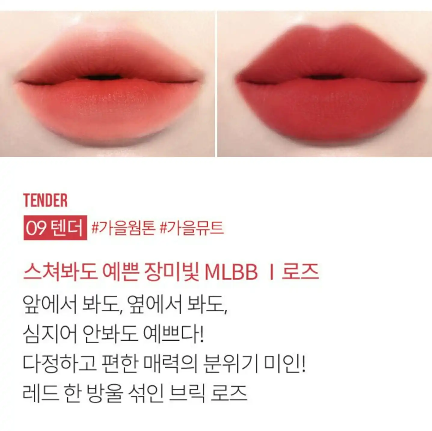 타투 끌레르 벨벳 틴트 [09 텐더]