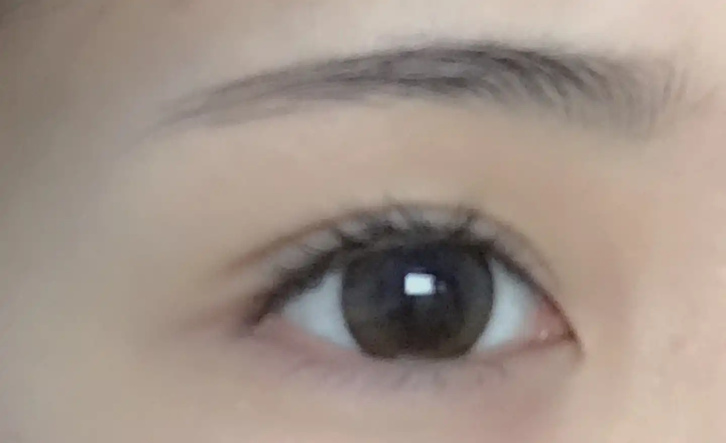 윙키스타 [브라운]