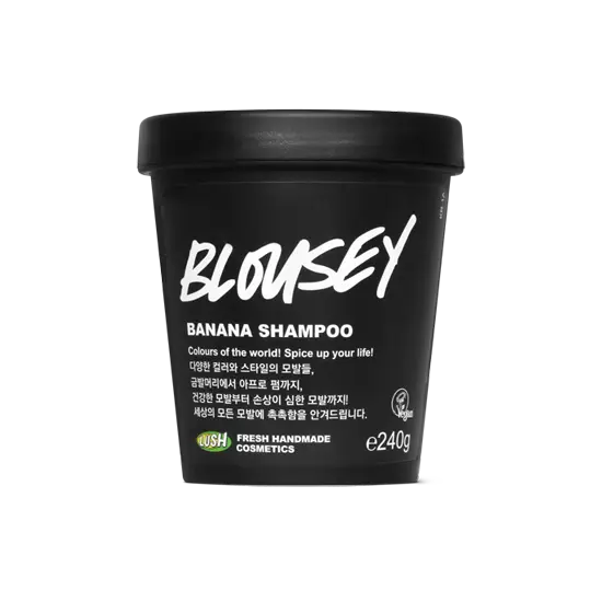 블라우지 