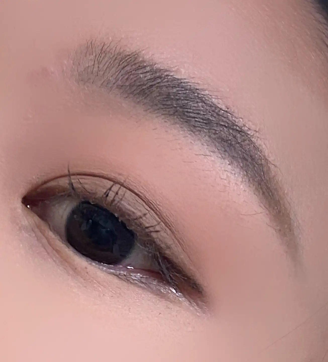 컬러 블라썸 멀티 블렌딩 팔레트 [03 피치 코랄]