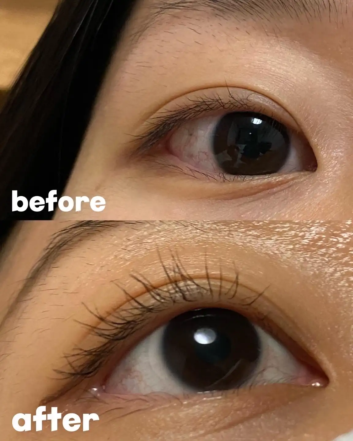 보테니컬 무드 웨어 컬픽스 마스카라 [1호 블랙]