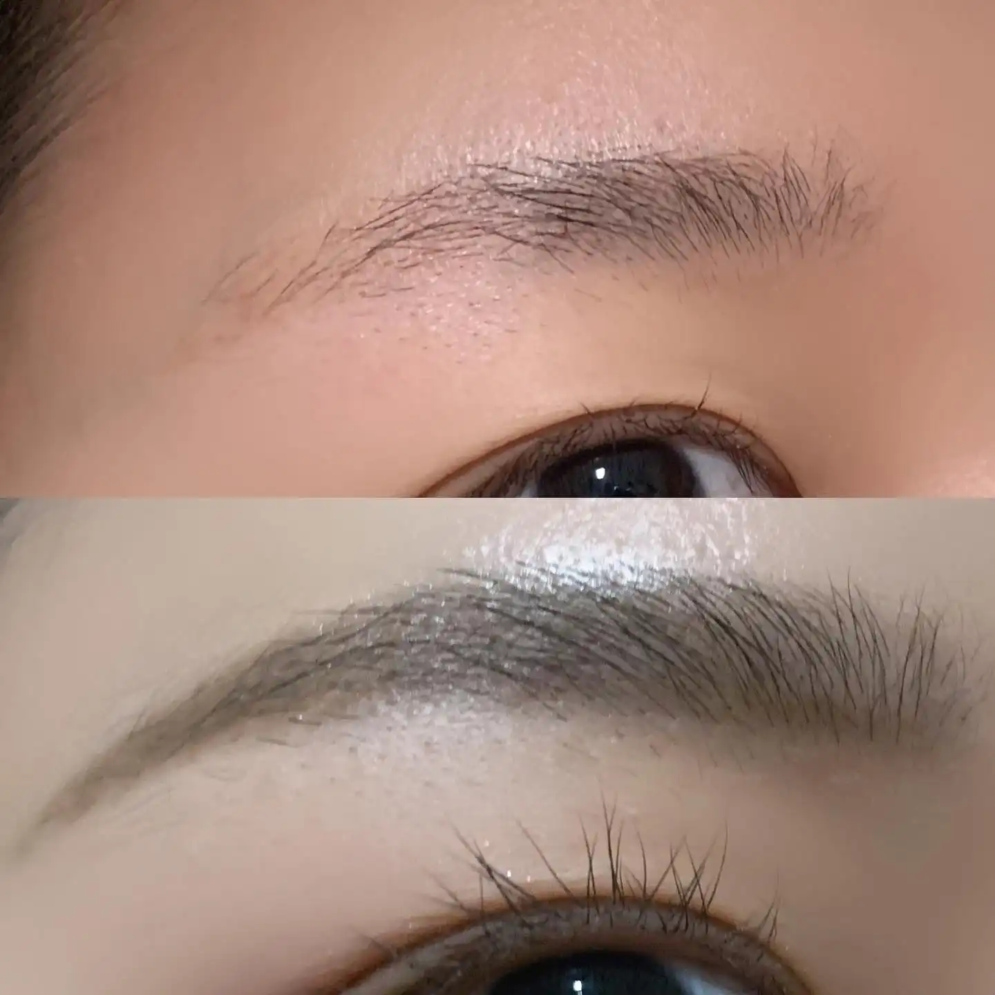 보테니컬 오토 하드 아이 브로우 [03 내추럴 브라운]