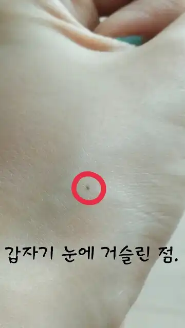 언니의파우치 리뷰 이미지 6 - [멀티 펜 하이라이터 SPF37 PA+++ 1호 라이트베이지]