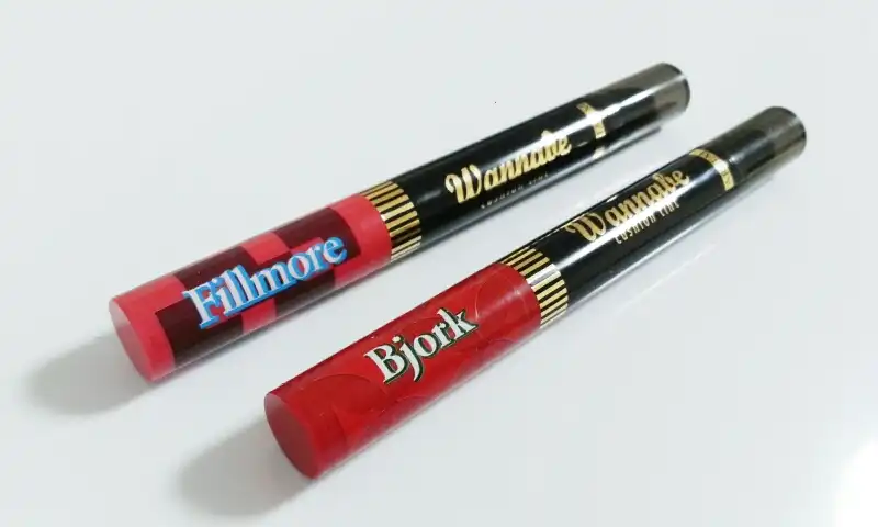 2014 new 워너비 쿠션틴트 09호 비요크