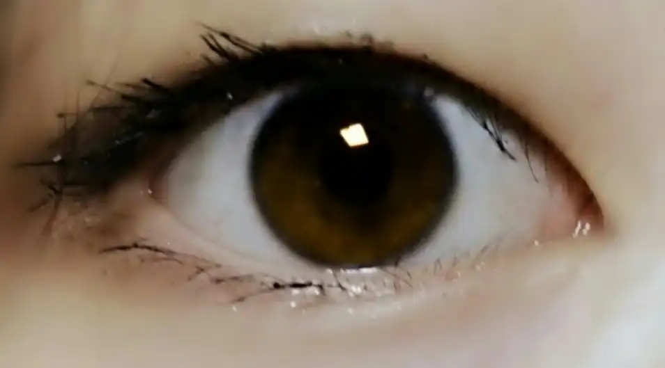 래쉬펌 컬픽스 마스카라 [또렷한 블랙]