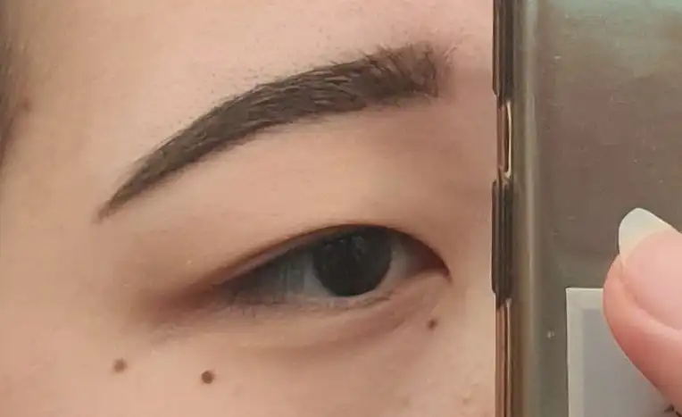 스타일리쉬 오토 아이브로우 펜슬 [22호 흑갈색]