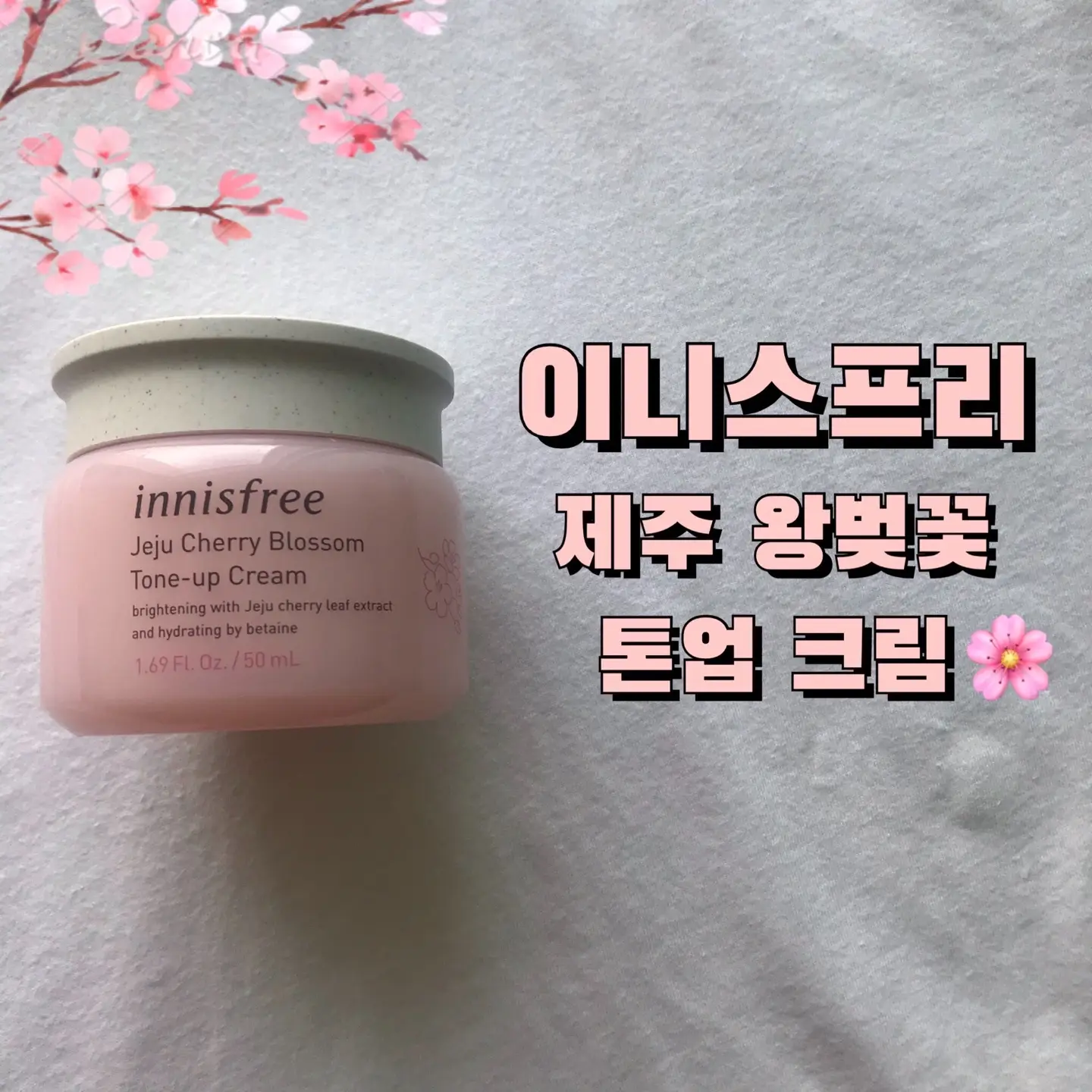 선택된 언니의파우치 리뷰 이미지 - [제주 왕벚꽃 톤업 크림]
