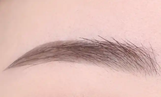 리얼 타투 브로우 카라 [01 그레이 브라운]