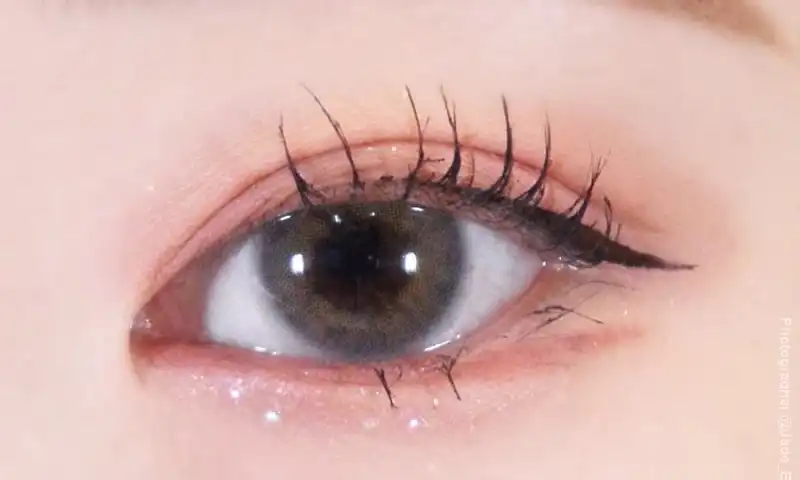 베어 섀도우 팔레트 [04 레이크]