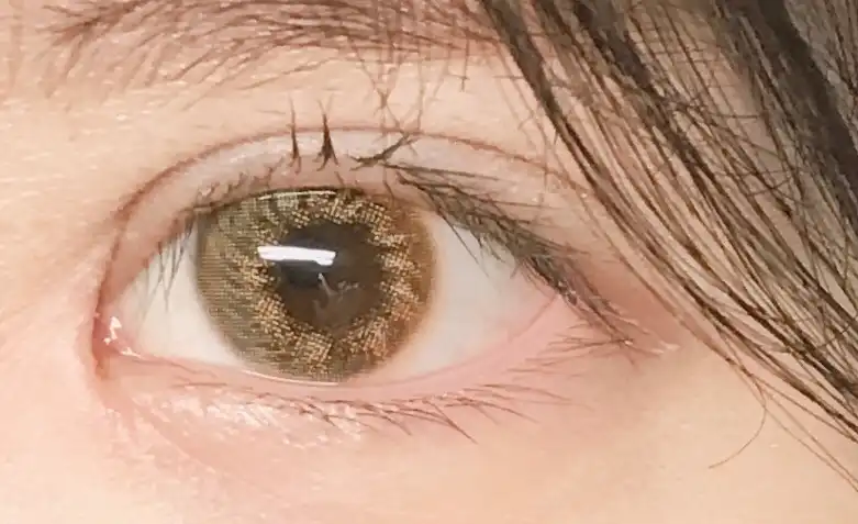 카리브3콘 [브라운]