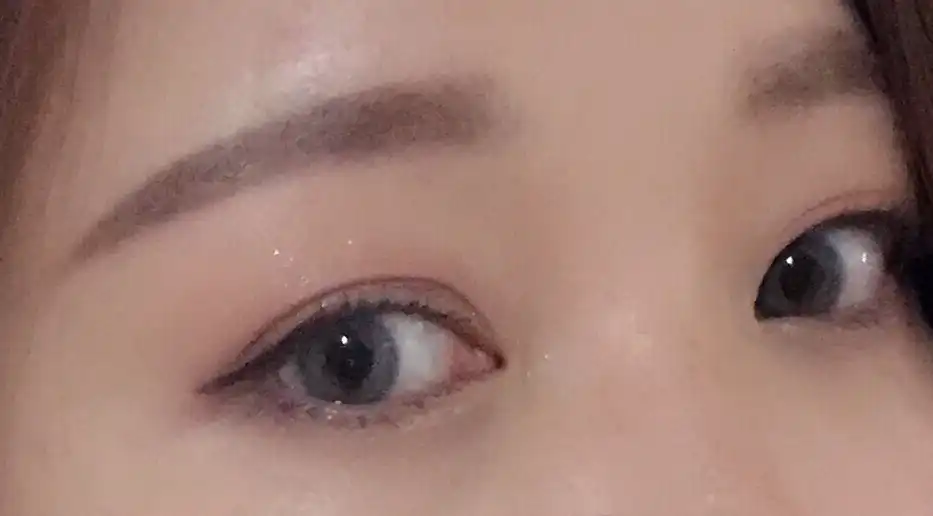 러시안벨벳 [블루]