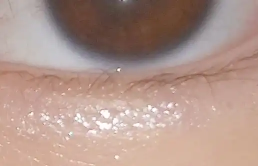 언니의파우치 리뷰 이미지 6 - [반짝 눈물라이너 [1호 청순한 눈물]]