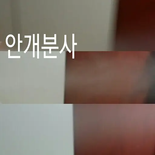 선택된 언니의파우치 리뷰 이미지 - [캘리포니아 알로에 파워 라스팅 선스프레이]