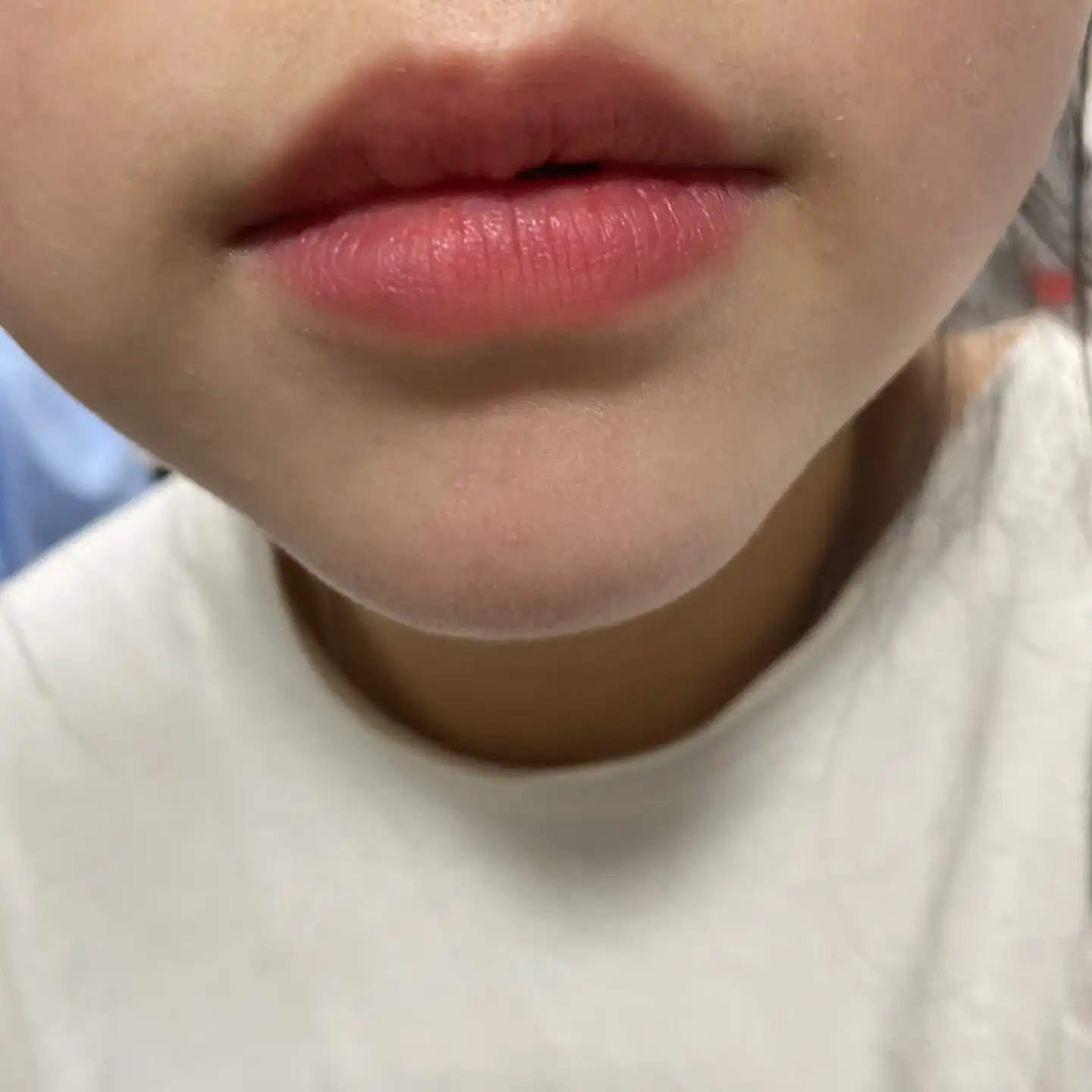 듀 벨벳 [06 생장미]