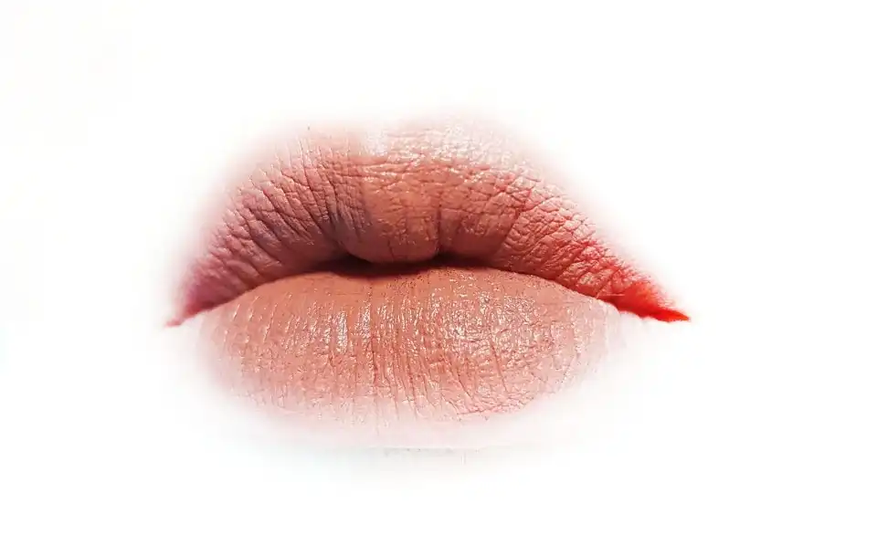 슈프림 매트 립루즈 [메리다 브라운]