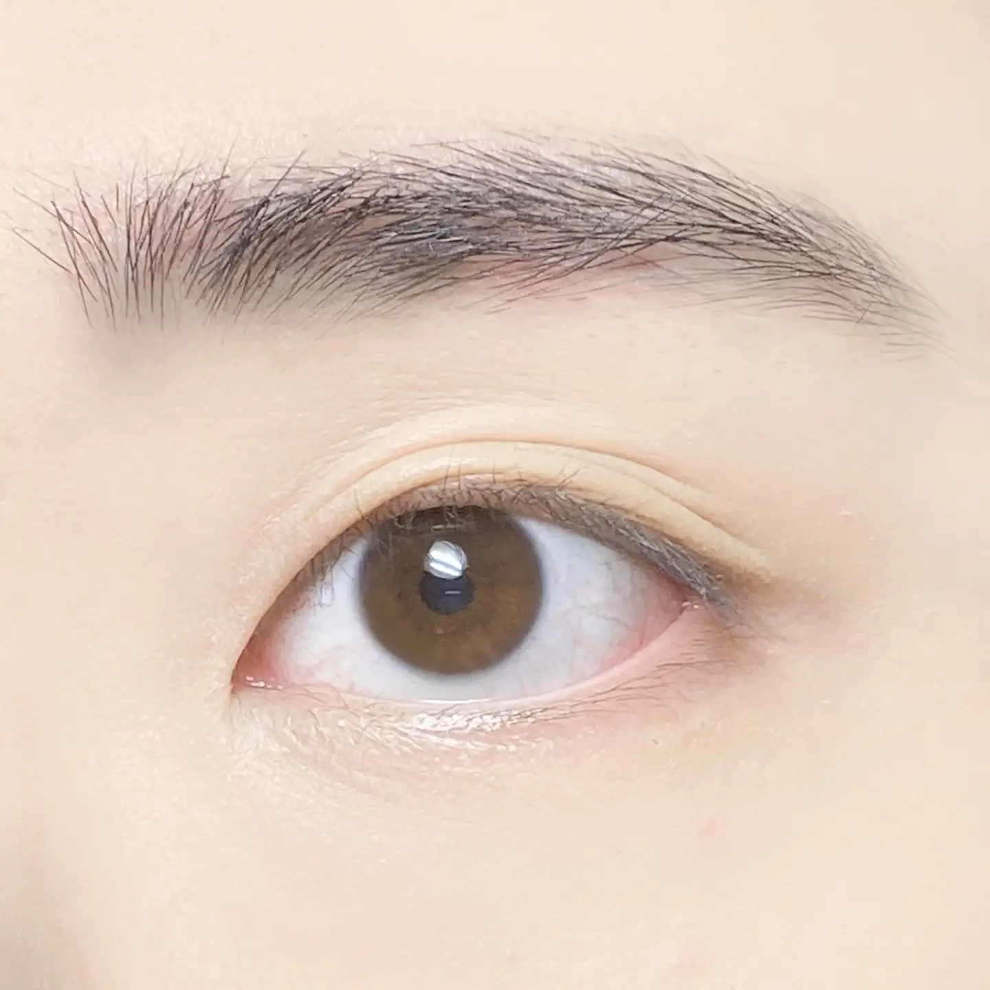 선택된 언니의파우치 리뷰 이미지 - [보테니컬 무드 웨어 컬픽스 마스카라 [4호 퍼플 브라운]]