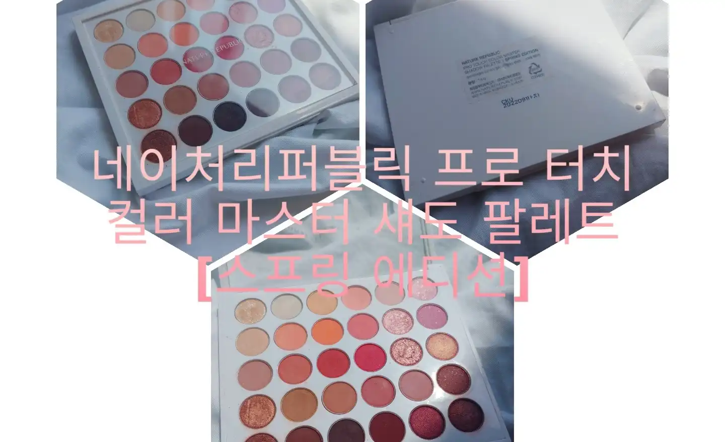 프로 터치 컬러 마스터 섀도 팔레트 스프링 에디션