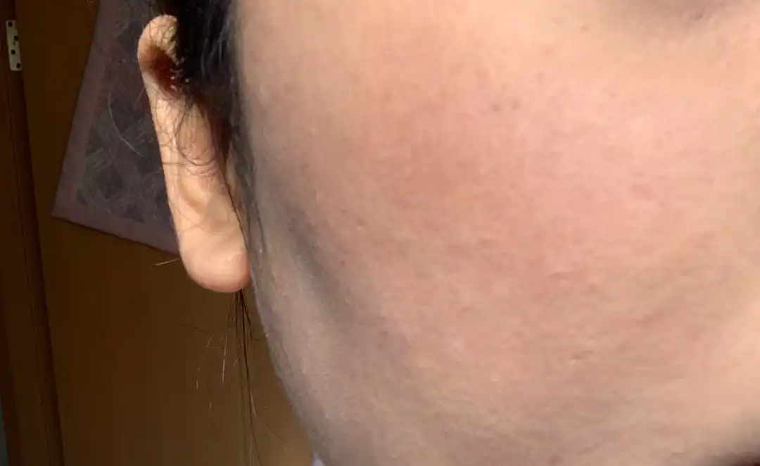 치크 핏 블러셔 [06 피그치크핏]