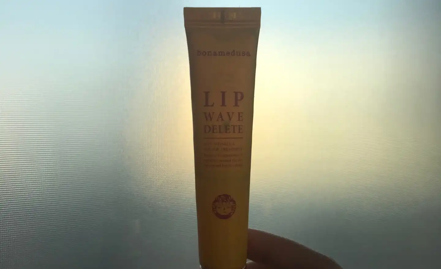 립 웨이브 딜리트