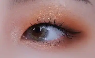 러시안벨벳 [그레이]