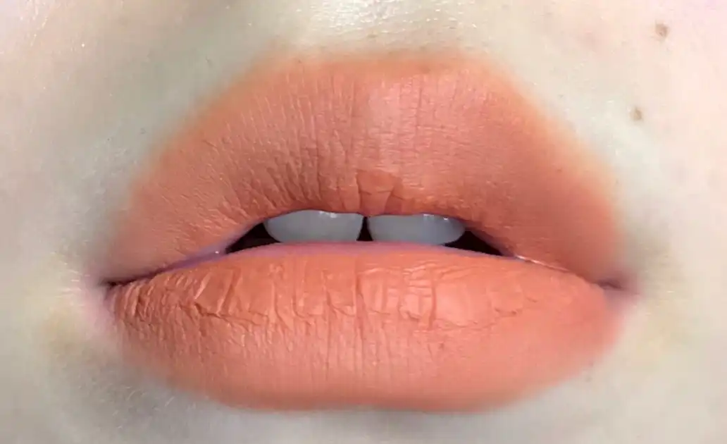 라이프 컬러 립 크러쉬 매트 [10 왓 더 헤븐]