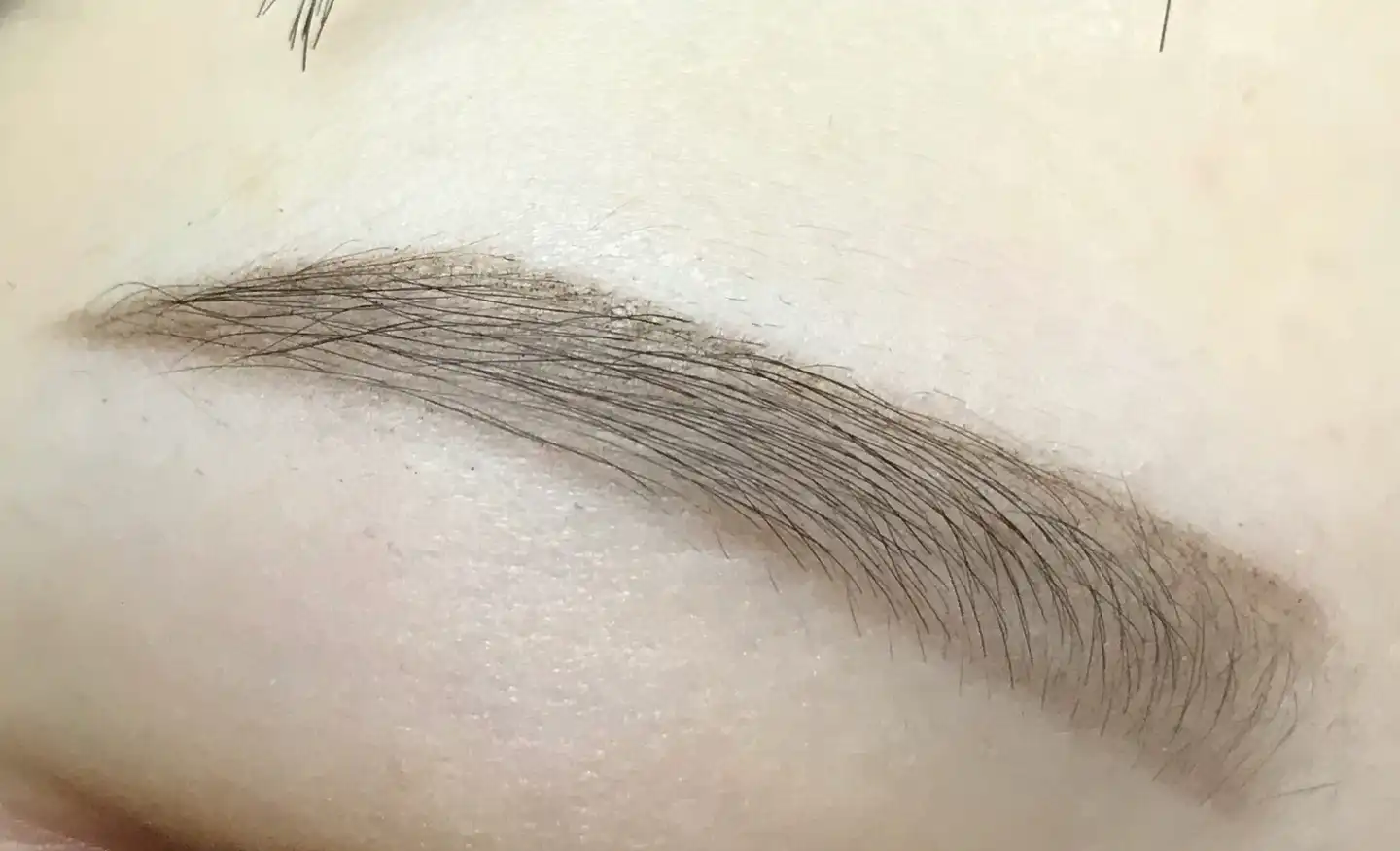 매트 포뮬라 브로우 오토펜슬 [5호 다크브라운]