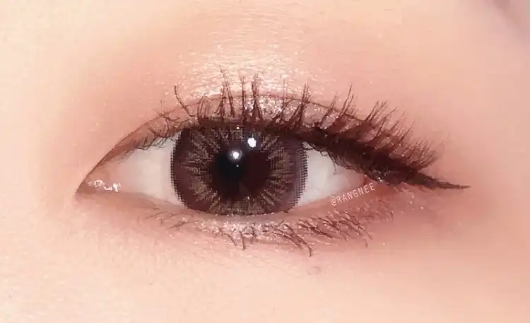 무드레시피 멀티 아이컬러 팔레트 [오버테이크]