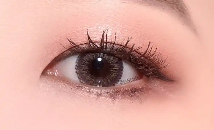 컬러 필터 섀도우 팔레트 [4호 텐더 브리즈 필터]