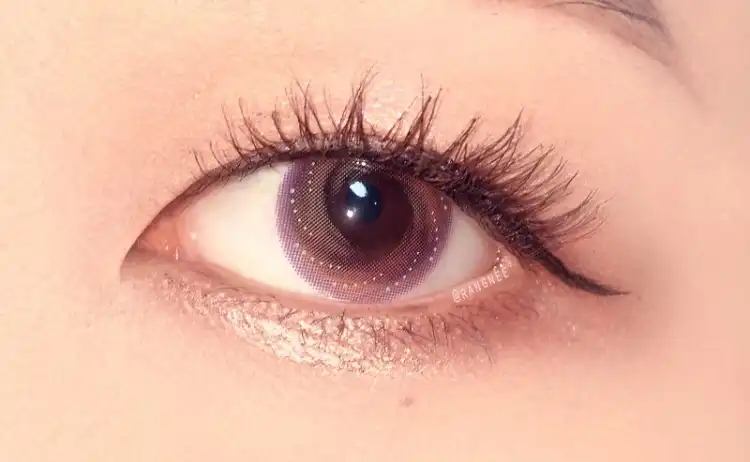 로라스타 [브라운]